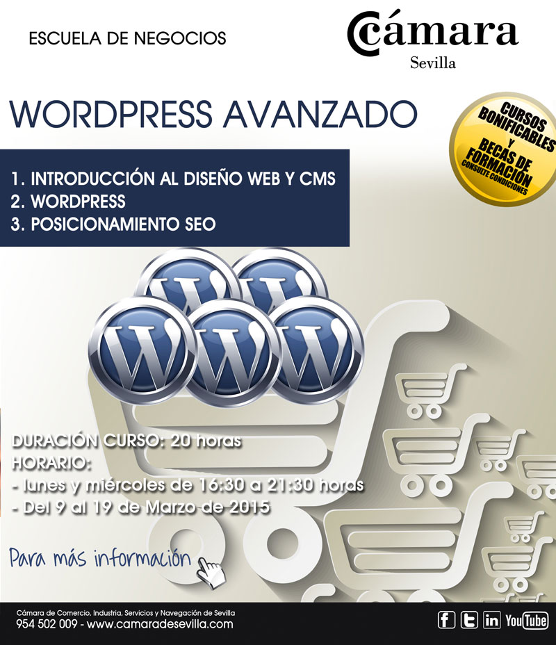 curso de WordPress Avanzado