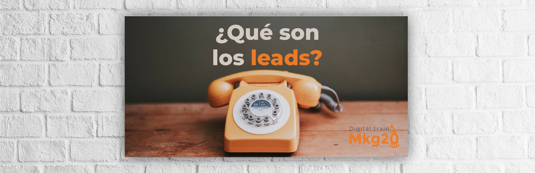 ¿Qué son los leads?